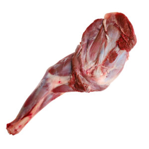 Head and legs