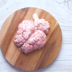 Brain